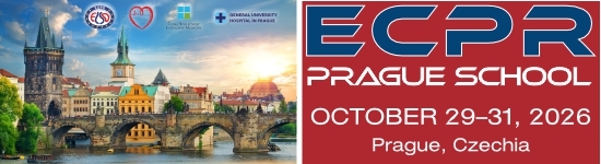 ECPR Prague School