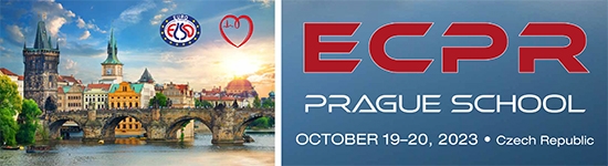ECPR Prague School