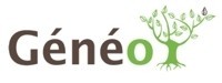 GeneO